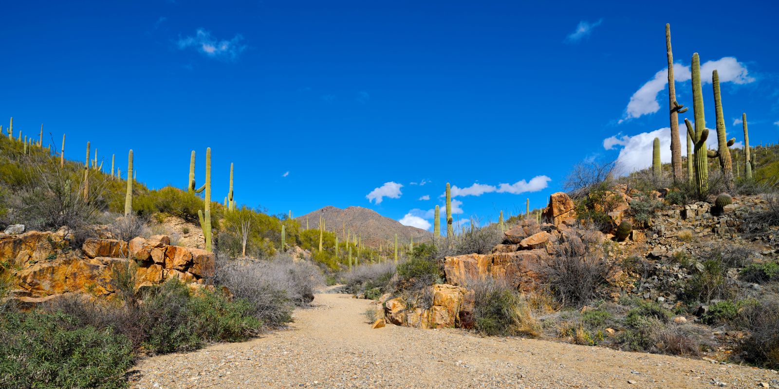 Arizona offroading trails